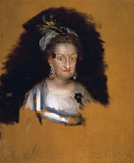 Francisco de Goya hermana de Carlos III Germany oil painting art